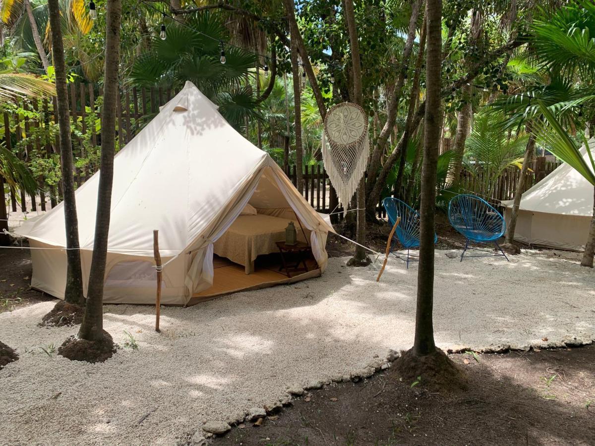 Casa Borush Glamping Fruit & Cenote Experience Luxuszelt