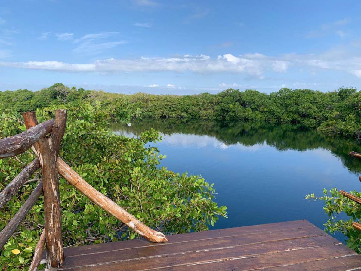 Luxuszelt Casa Borush Glamping Fruit & Cenote Experience
