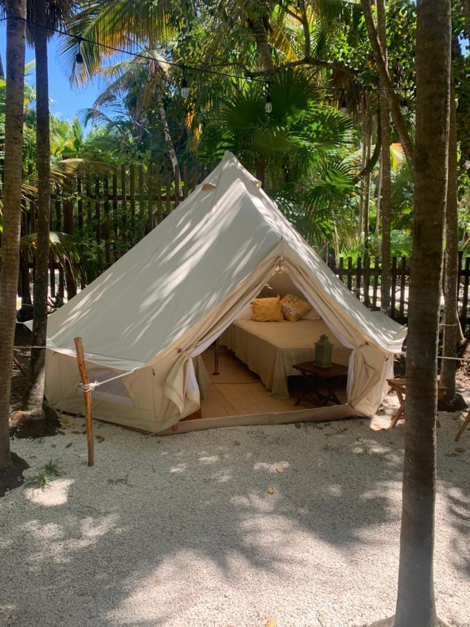 Casa Borush Glamping Fruit & Cenote Experience Luxuszelt