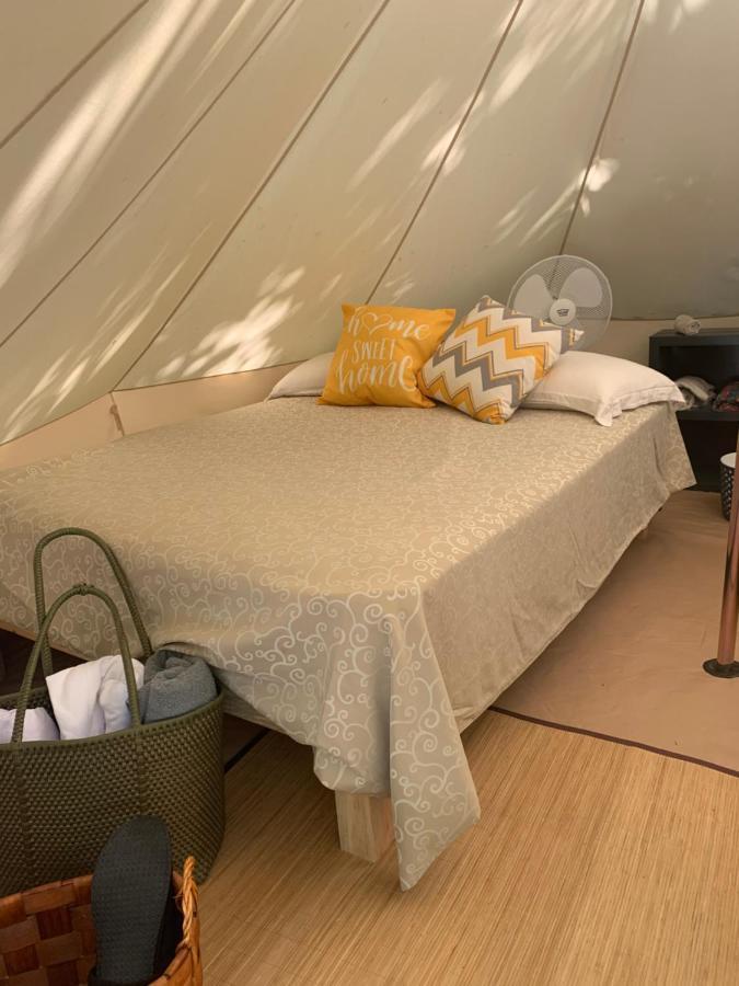 Casa Borush Glamping Fruit & Cenote Experience *