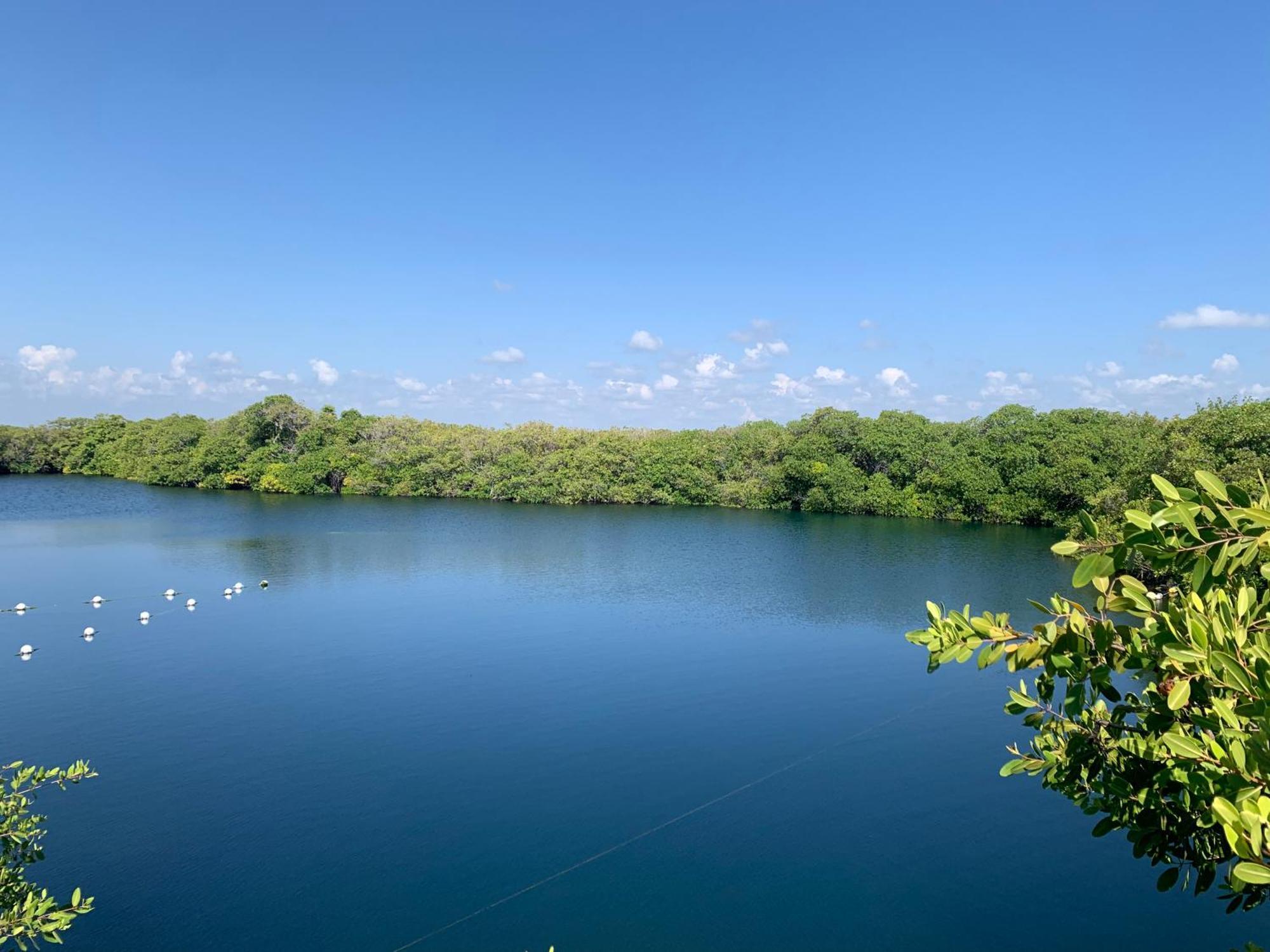 Luxuszelt Casa Borush Glamping Fruit & Cenote Experience