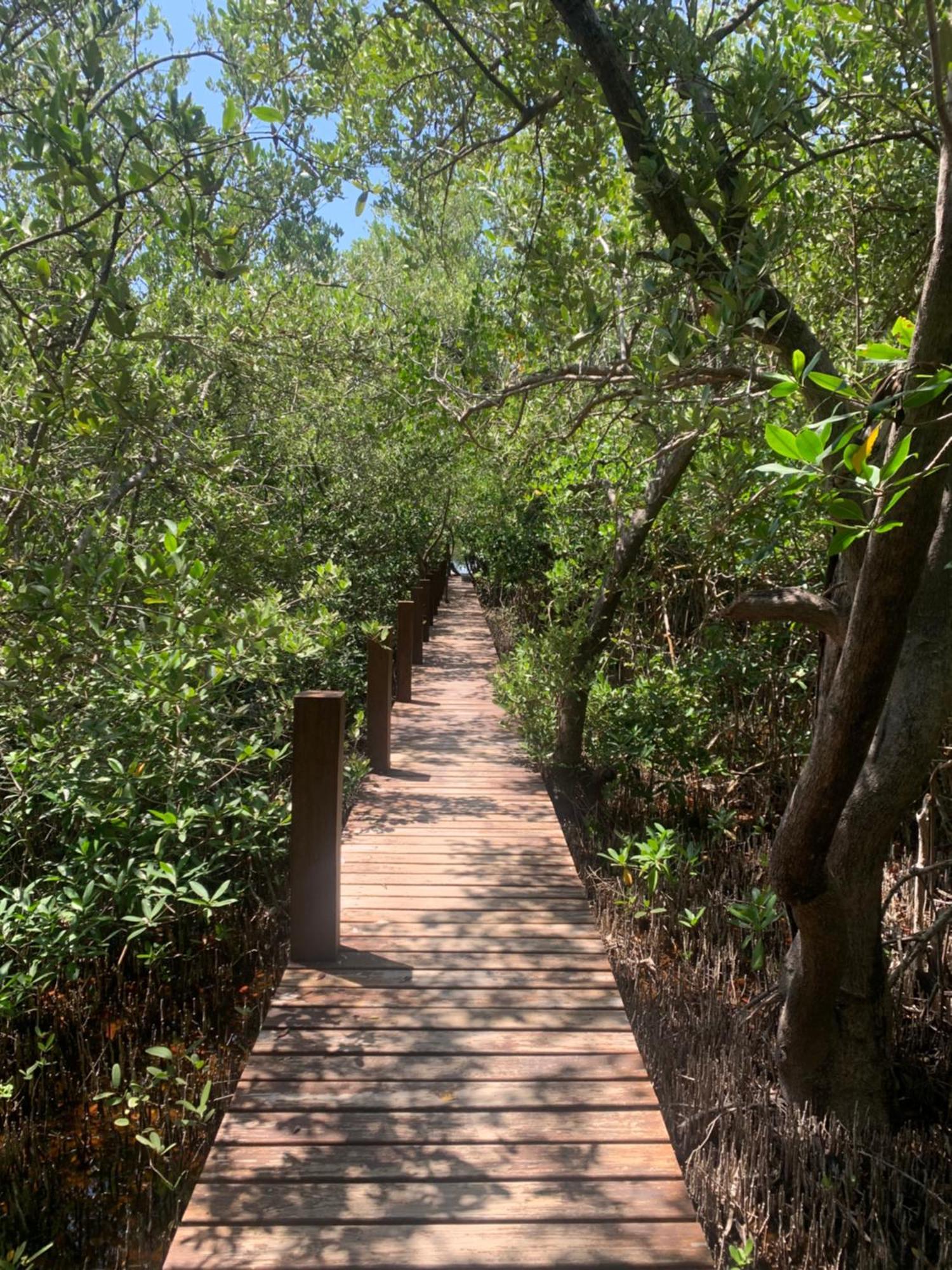 Casa Borush Glamping Fruit & Cenote Experience Luxuszelt Tulum