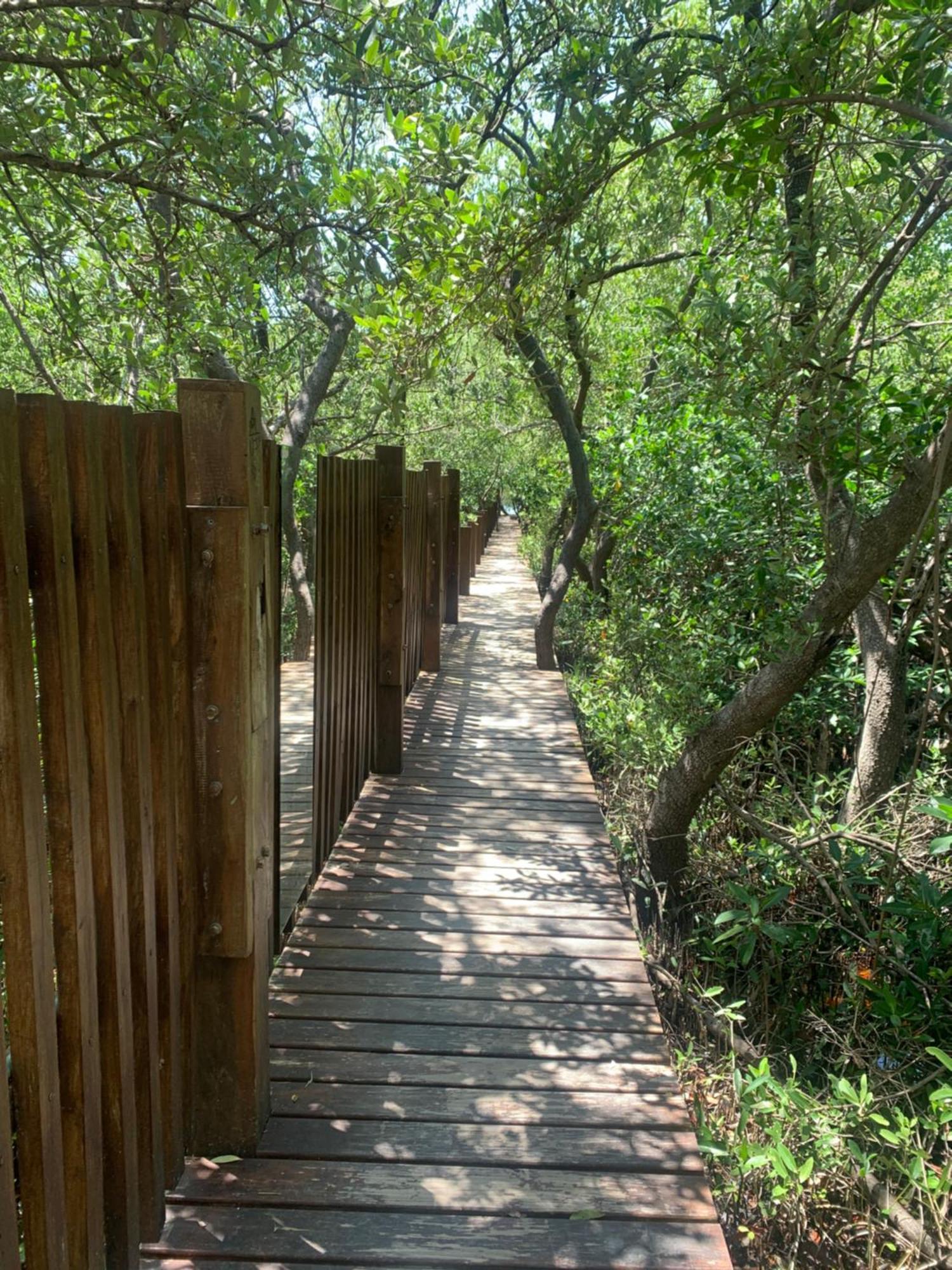 Casa Borush Glamping Fruit & Cenote Experience Luxuszelt
