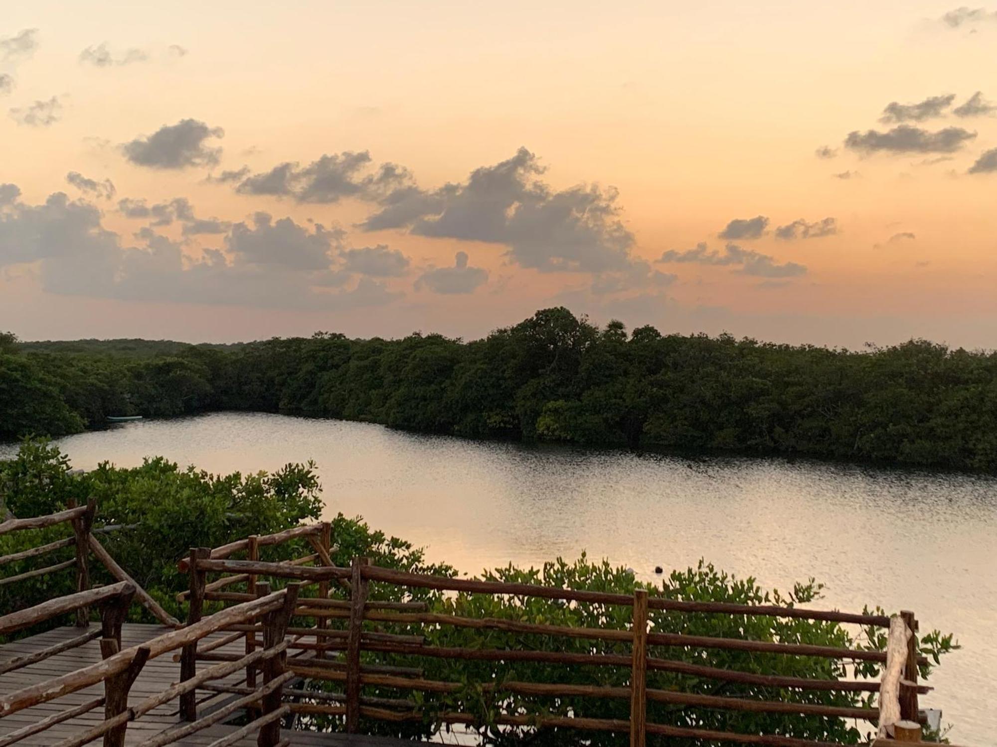 Casa Borush Glamping Fruit & Cenote Experience Luxuszelt