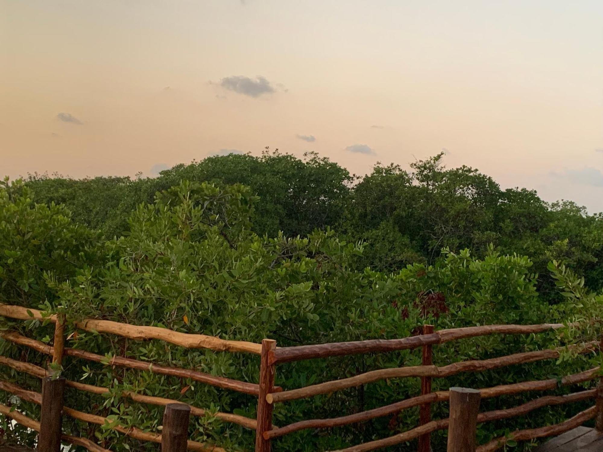 Luxuszelt Casa Borush Glamping Fruit & Cenote Experience Tulum