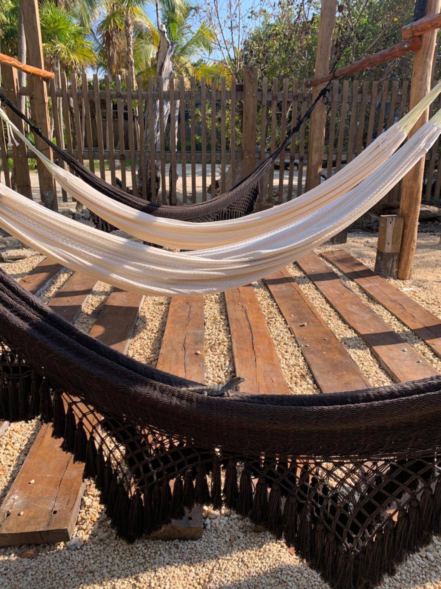Casa Borush Glamping Fruit & Cenote Experience *